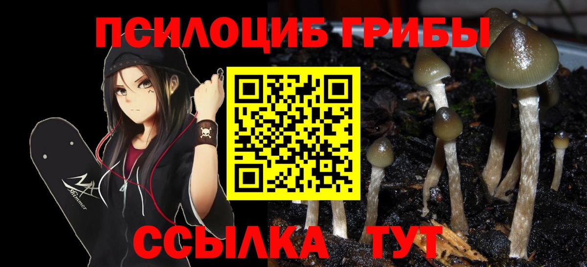 Ухта  Псилоцибиновые грибы Cubensis  где можно купить наркотик  Вход с VPN 